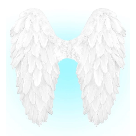 Aripi inger pene albe - imagine 9